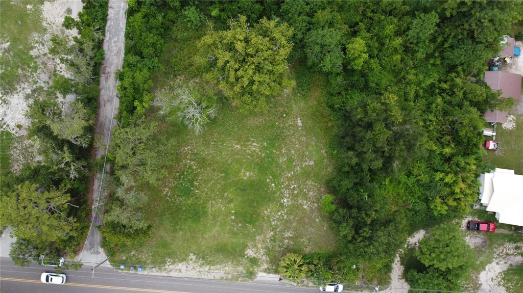 10616 Davis Road Tampa, FL 33637 - Photo 5 of 8 a view of a yard