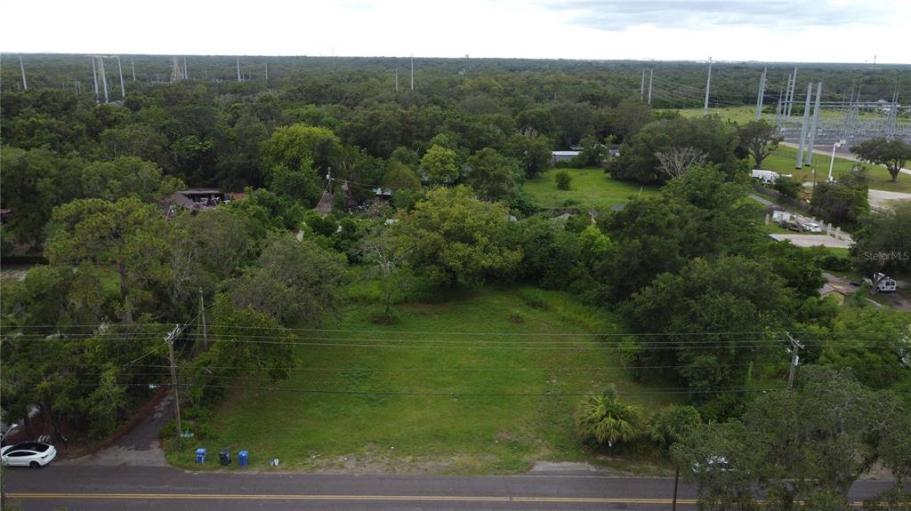 10616 Davis Road Tampa, FL 33637 - Photo 8 of 8 a view of a forest