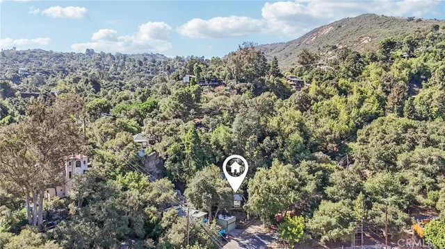 a view of a plant in a garden