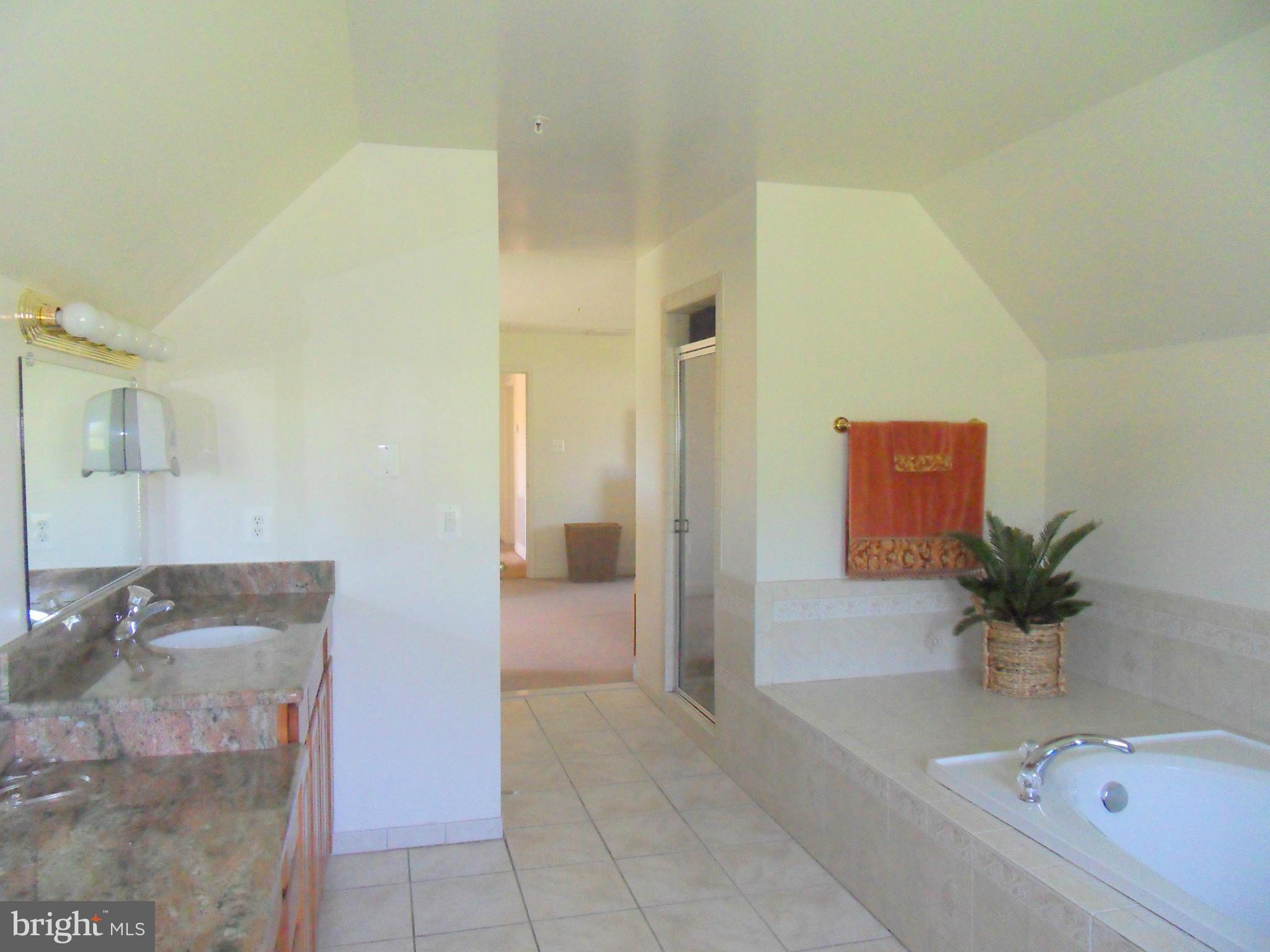 8560 Gunston Road Welcome, MD 20693 - Photo 16 of 30 Bath (Master)