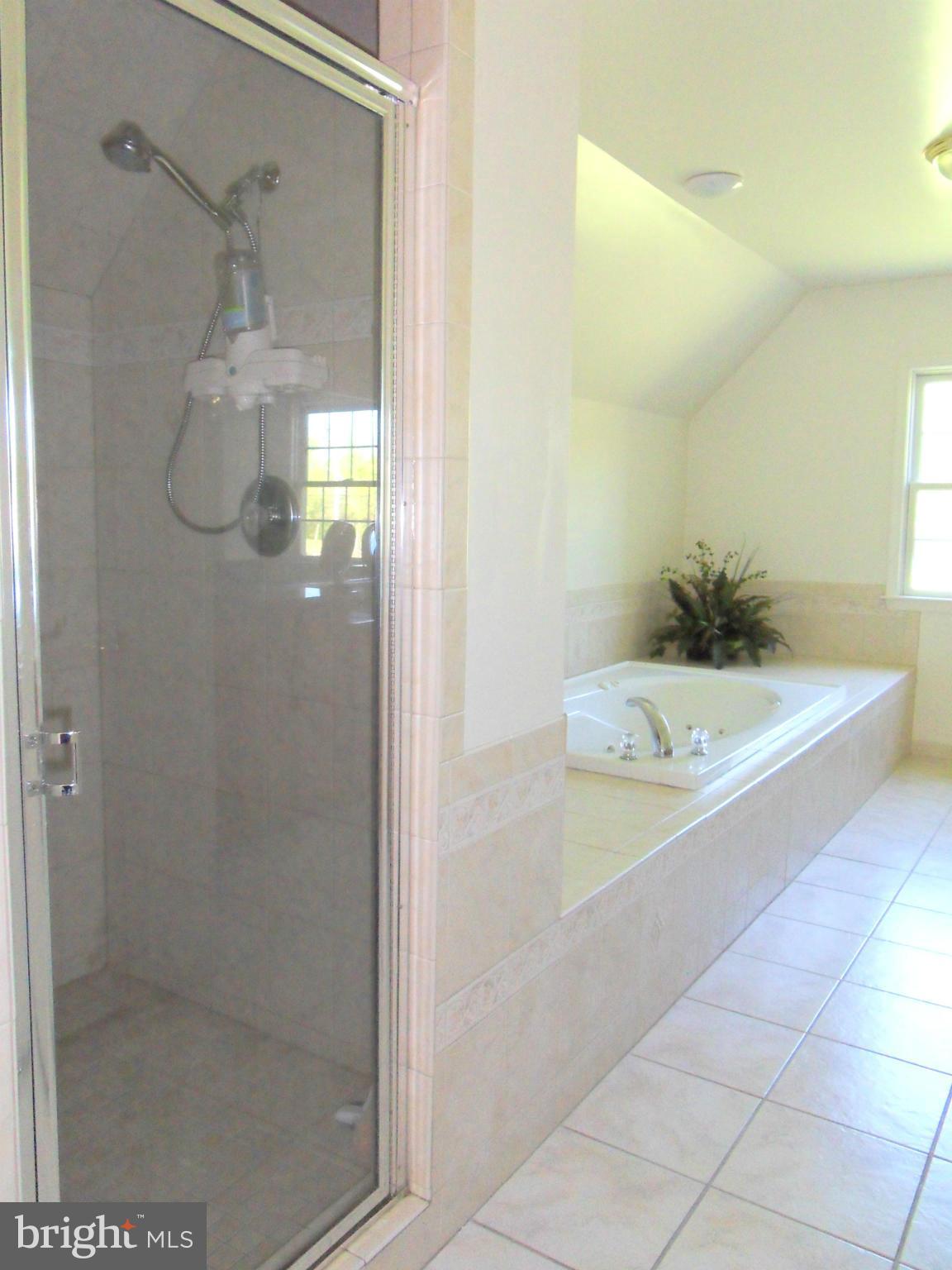 8560 Gunston Road Welcome, MD 20693 - Photo 17 of 30 Bath (Master)