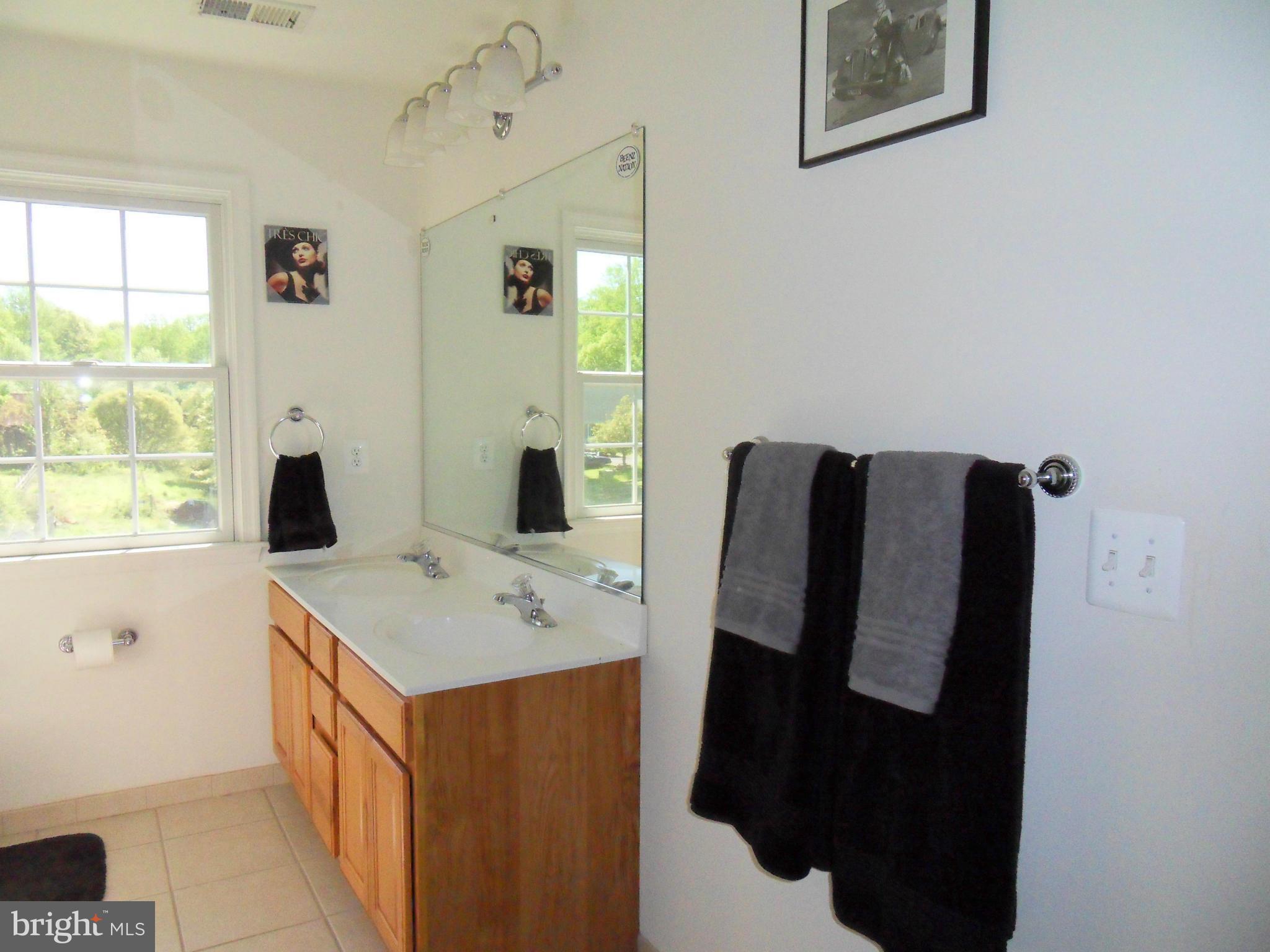 8560 Gunston Road Welcome, MD 20693 - Photo 19 of 30 Bath (Master)