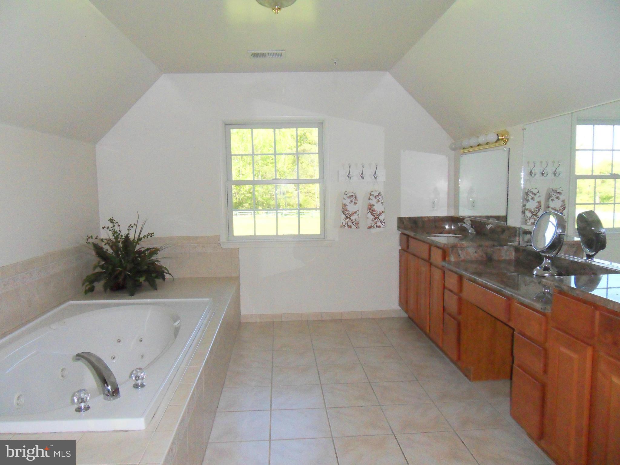 8560 Gunston Road Welcome, MD 20693 - Photo 4 of 30 Bath (Master)