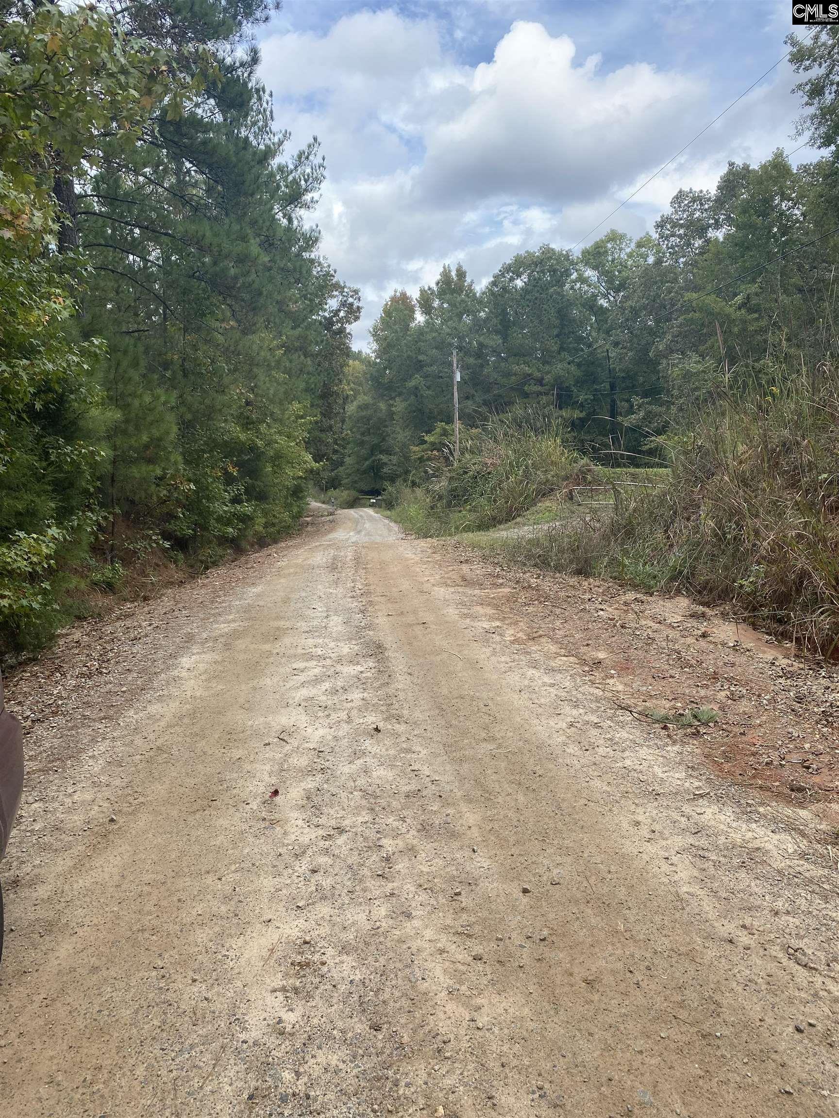 None Claude Bundrick Road Southwest Blythewood, SC 29016 - Photo 4 of 4