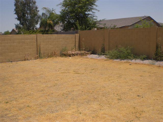 2031 West Carson Road Phoenix, AZ 85041 - Photo 6 of 6 backyard
