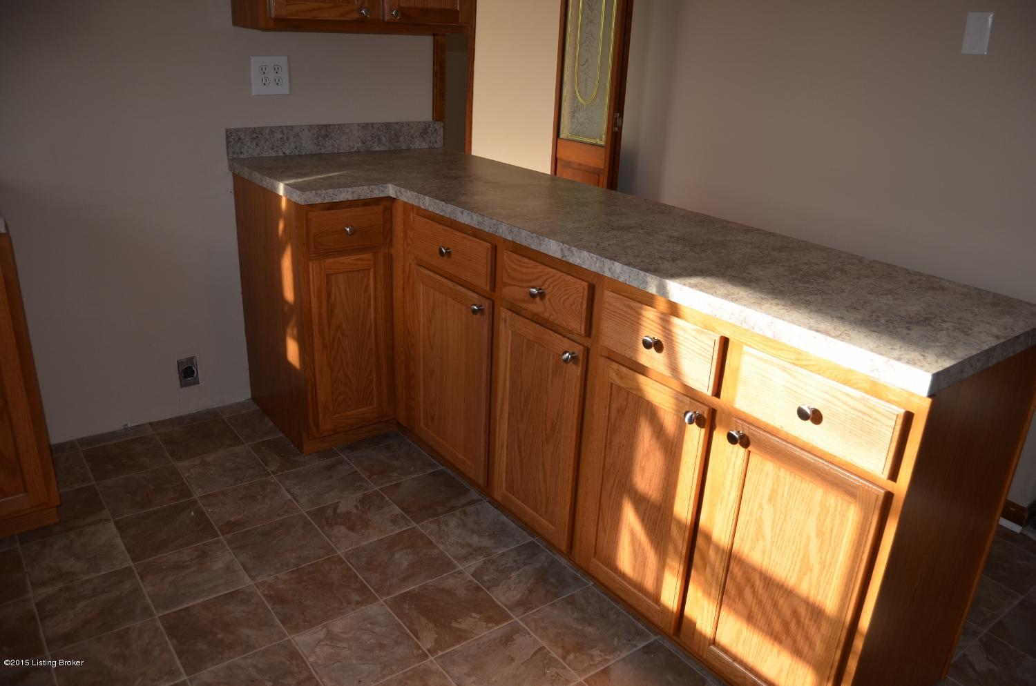 2316 Rebel Ridge Road La Grange, KY 40031 - Photo 5 of 46 RR new cabs-flooring
