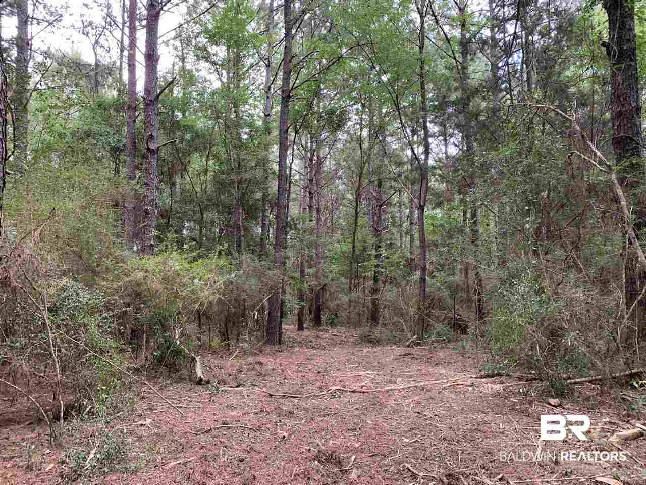 6 Sherwood Highland Road Fairhope, AL 36532 - Photo 3 of 6