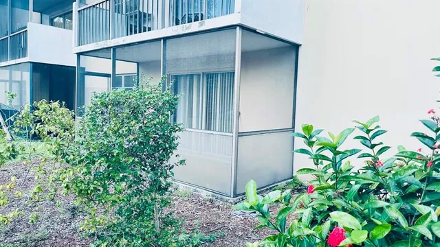 an outdoor space view with plants