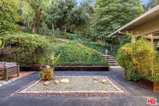 a view of a yard with plants