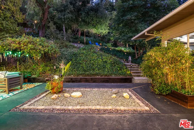 a view of backyard with plants and trees