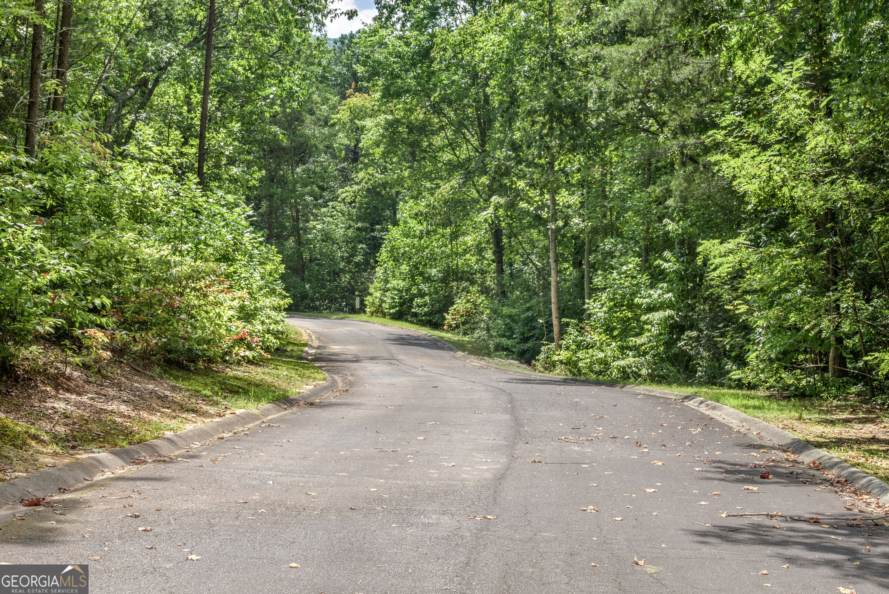 0 Golden Lane, Unit 53 54 Clarkesville, GA 30523 - Photo 6 of 11