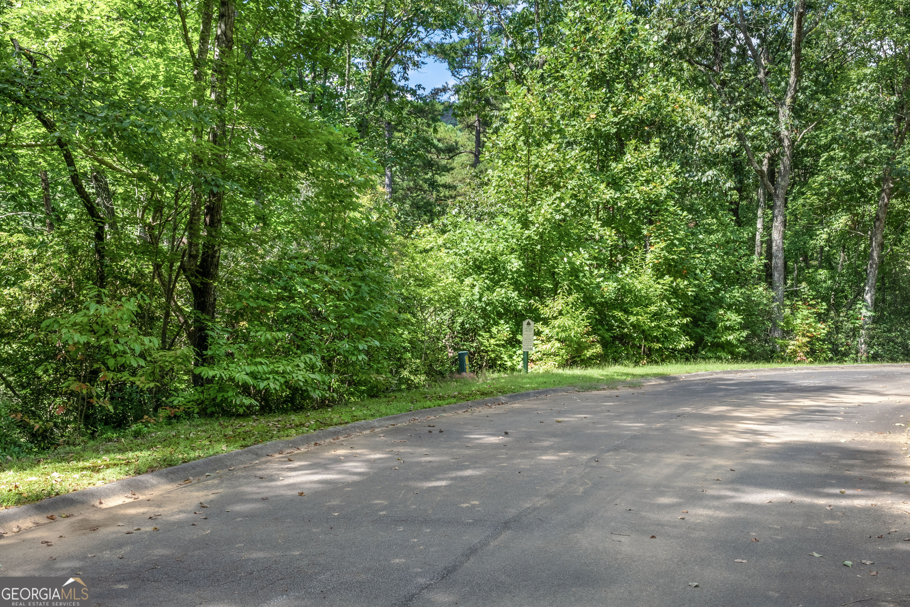 0 Golden Lane, Unit 53 54 Clarkesville, GA 30523 - Photo 7 of 11