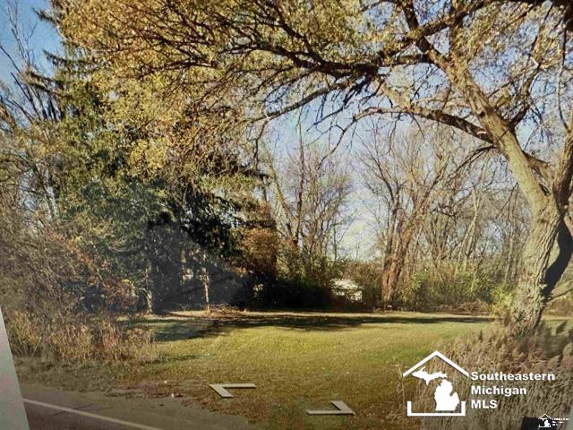 30938 Ecorse Road Romulus, MI 48174 - Photo 2 of 3