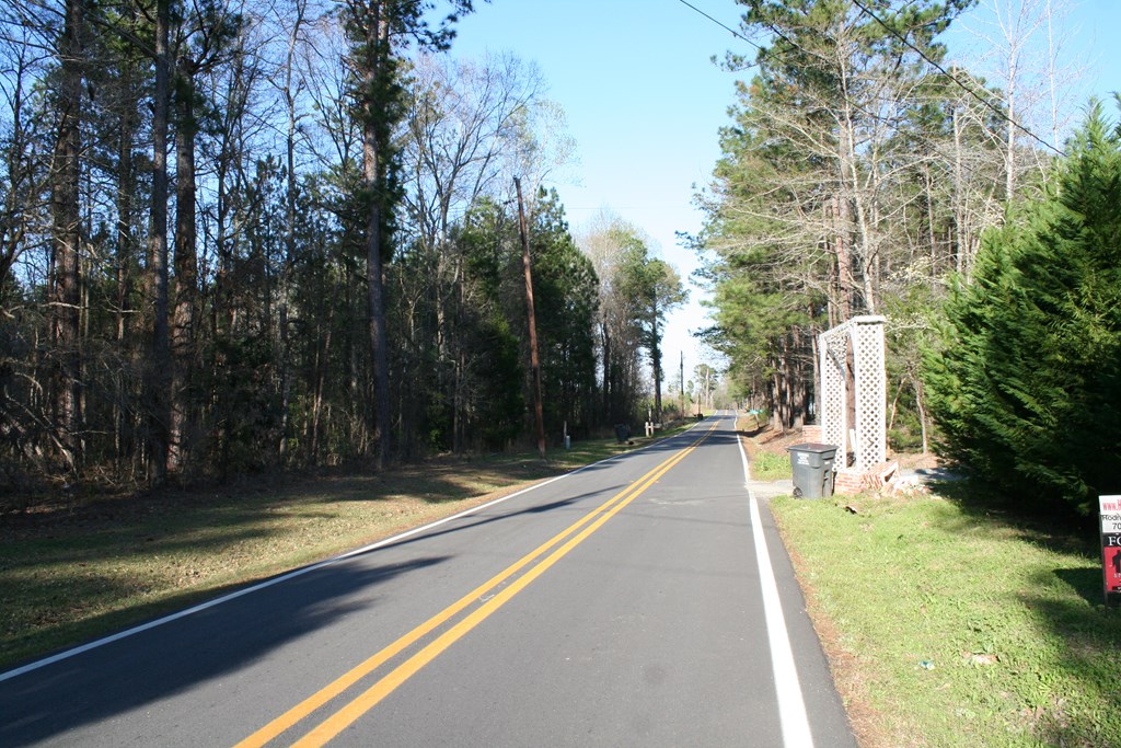 688 Kelly Road Talbotton, GA 31827 - Photo 11 of 37 Gallery Image 11