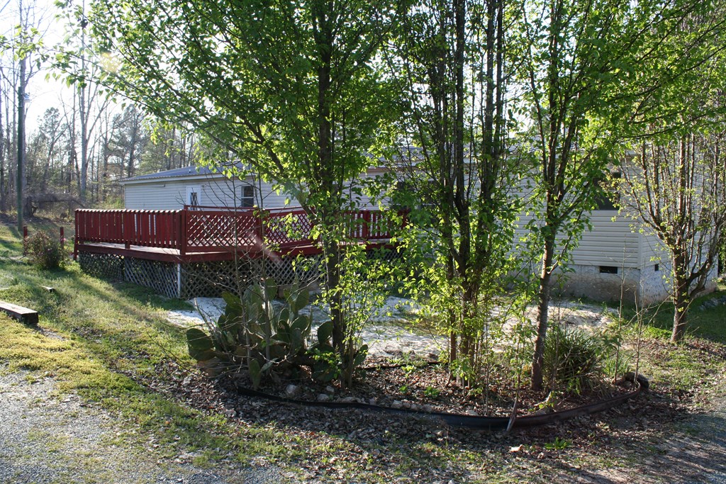 688 Kelly Road Talbotton, GA 31827 - Photo 12 of 37 Gallery Image 12