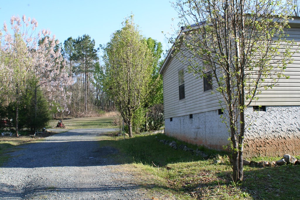 688 Kelly Road Talbotton, GA 31827 - Photo 6 of 37 Gallery Image 6