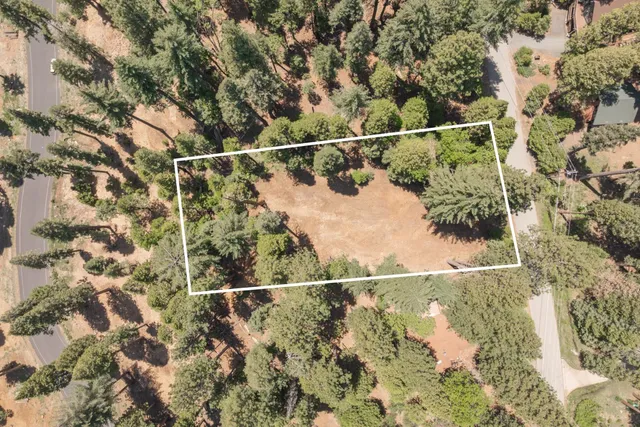 a view of road with trees