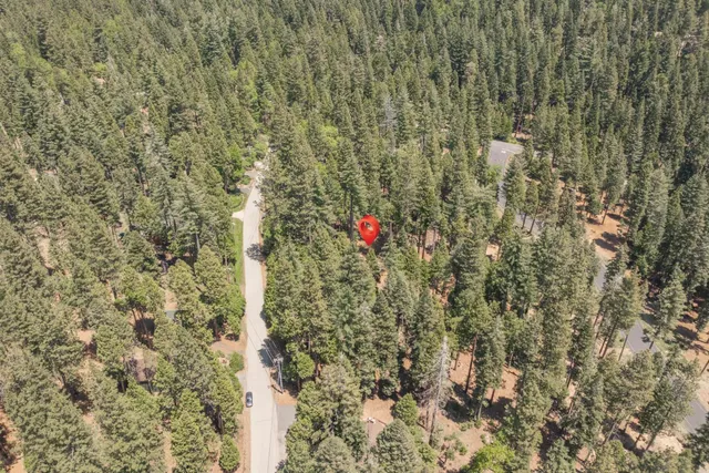 a view of a backyard with trees