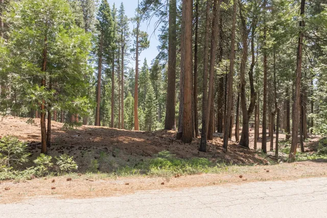 a view of outdoor space with lots of trees