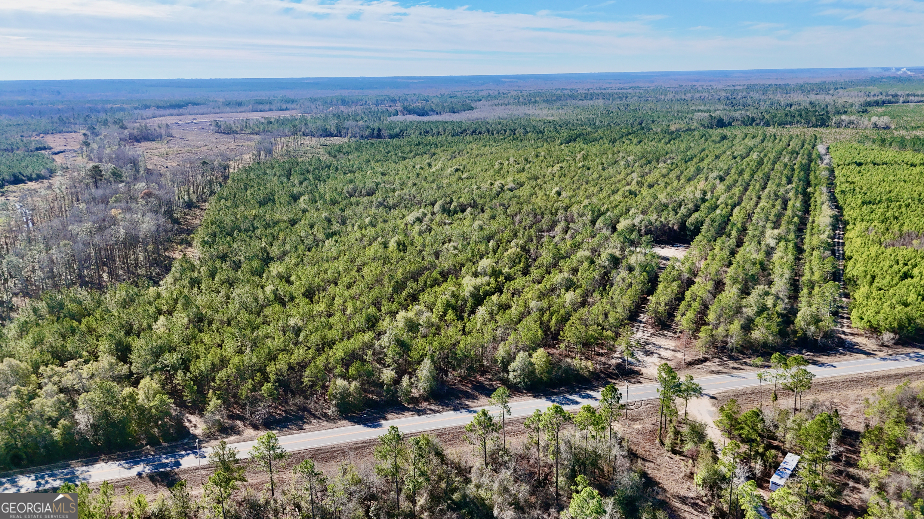 0 Bells Ferry Road Lumber City, GA 31549 - Photo 1 of 12