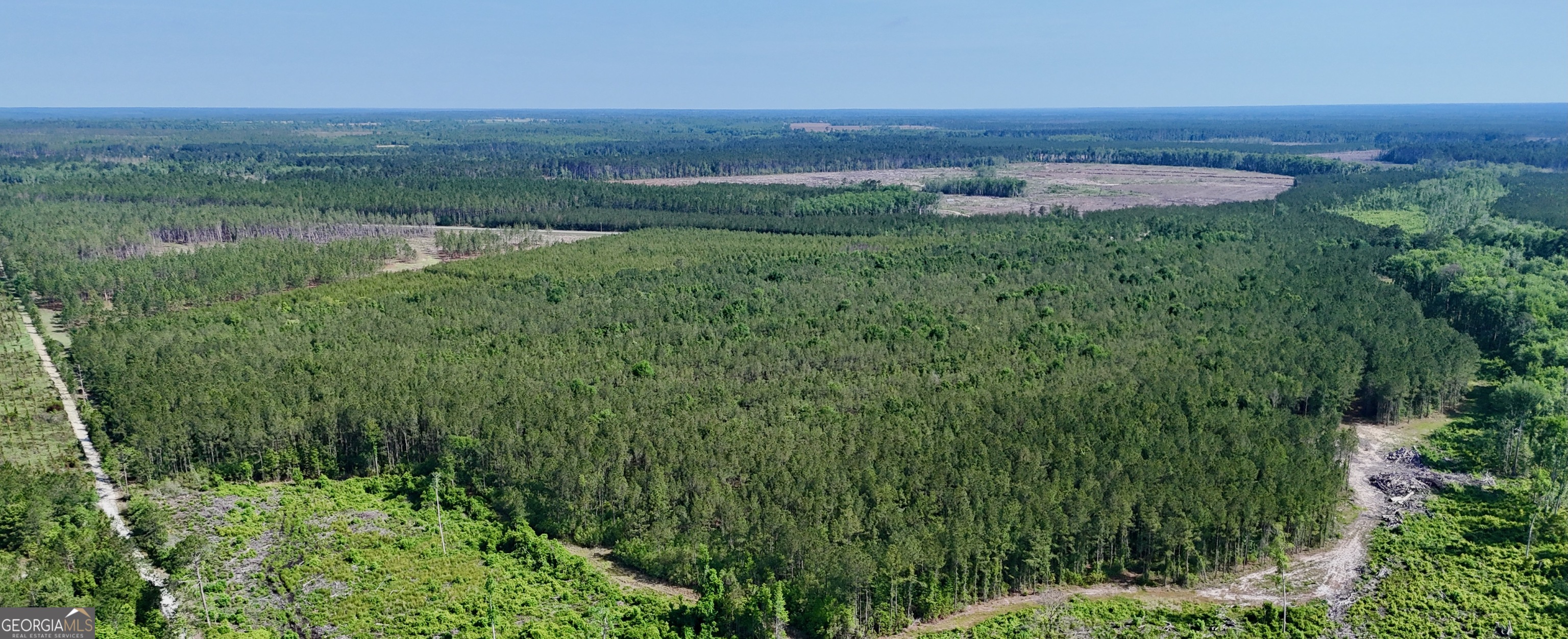 0 Bells Ferry Road Lumber City, GA 31549 - Photo 2 of 12 a view of a lush green forest with a lake