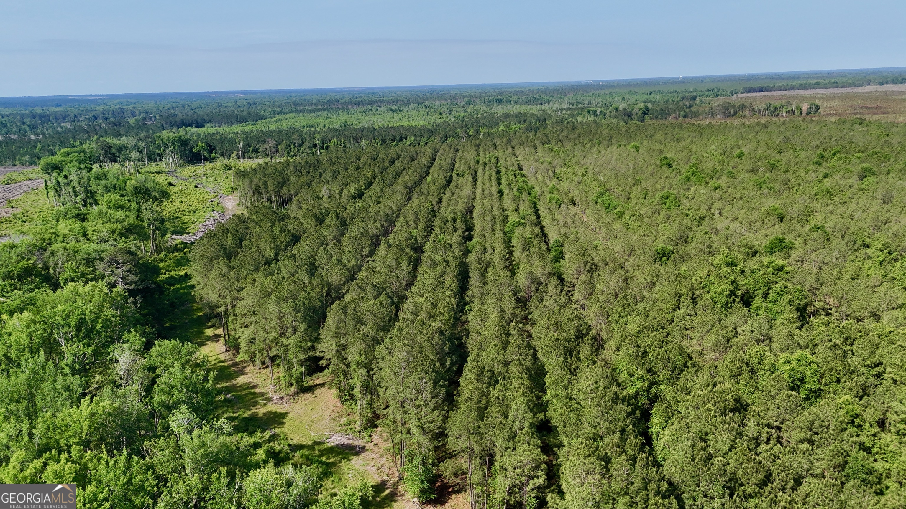 0 Bells Ferry Road Lumber City, GA 31549 - Photo 3 of 12 a view of a green field with lots of bushes