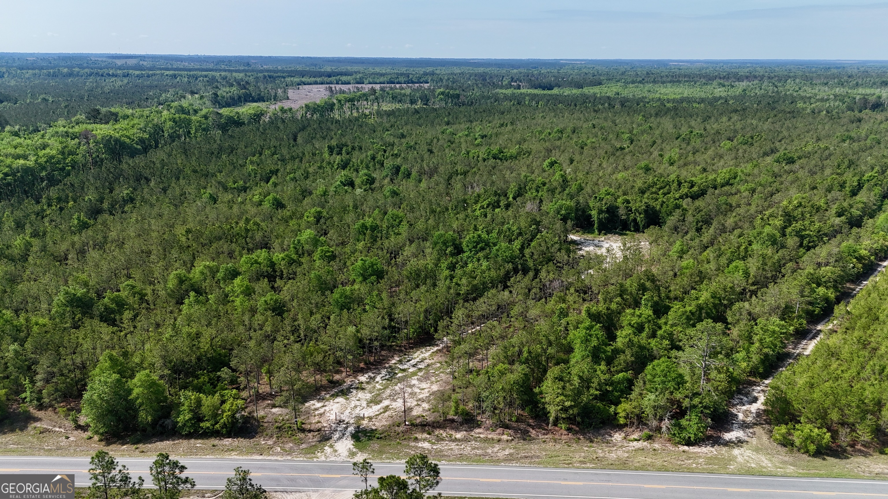 0 Bells Ferry Road Lumber City, GA 31549 - Photo 5 of 12 a view of a field with a tree