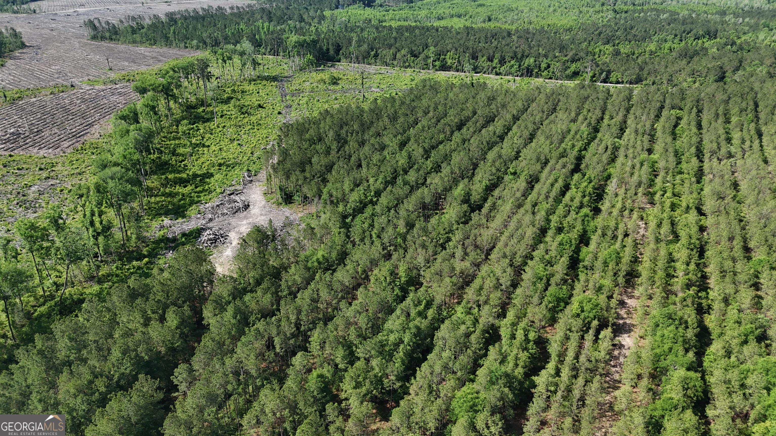 0 Bells Ferry Road Lumber City, GA 31549 - Photo 6 of 12 a view of a lush green forest with a houses