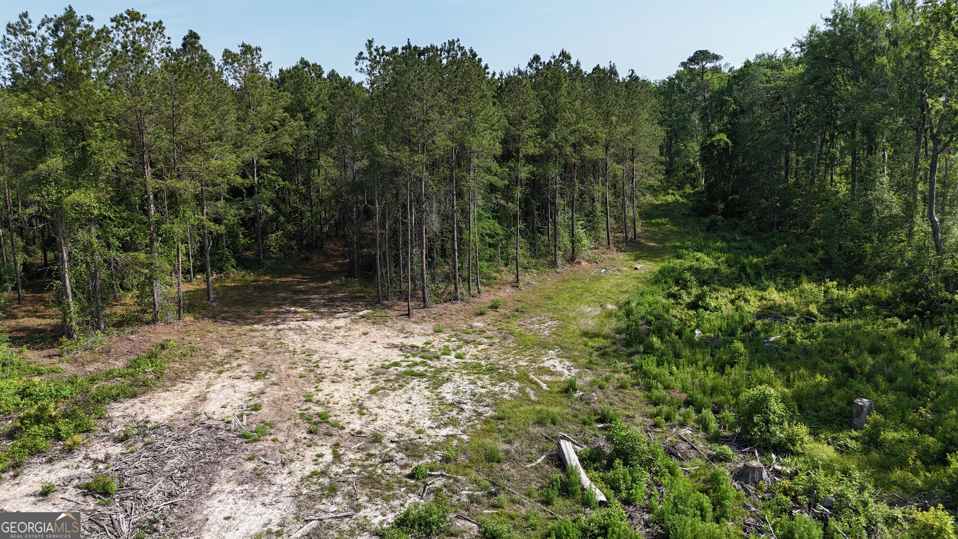 0 Bells Ferry Road Lumber City, GA 31549 - Photo 7 of 12 a backyard of a house with lots of green space