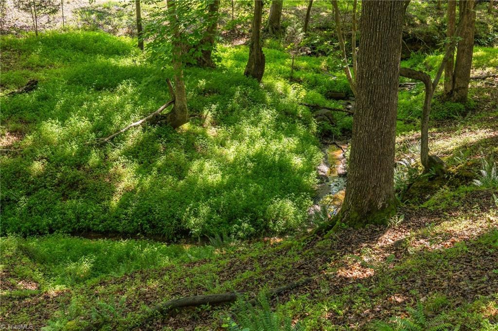 7289 Plunkett Road Stokesdale, NC 27357 - Photo 19 of 27 Stream