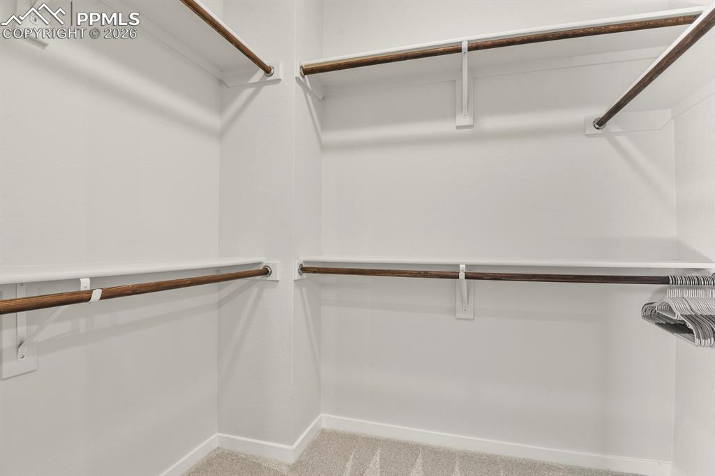 11314 Modern Meadow Loop Colorado Springs, CO 80921 - Photo 20 of 30