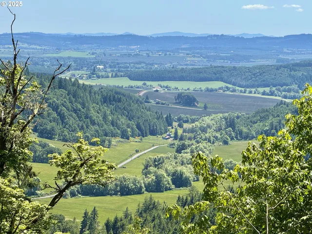 an aerial view of a yard