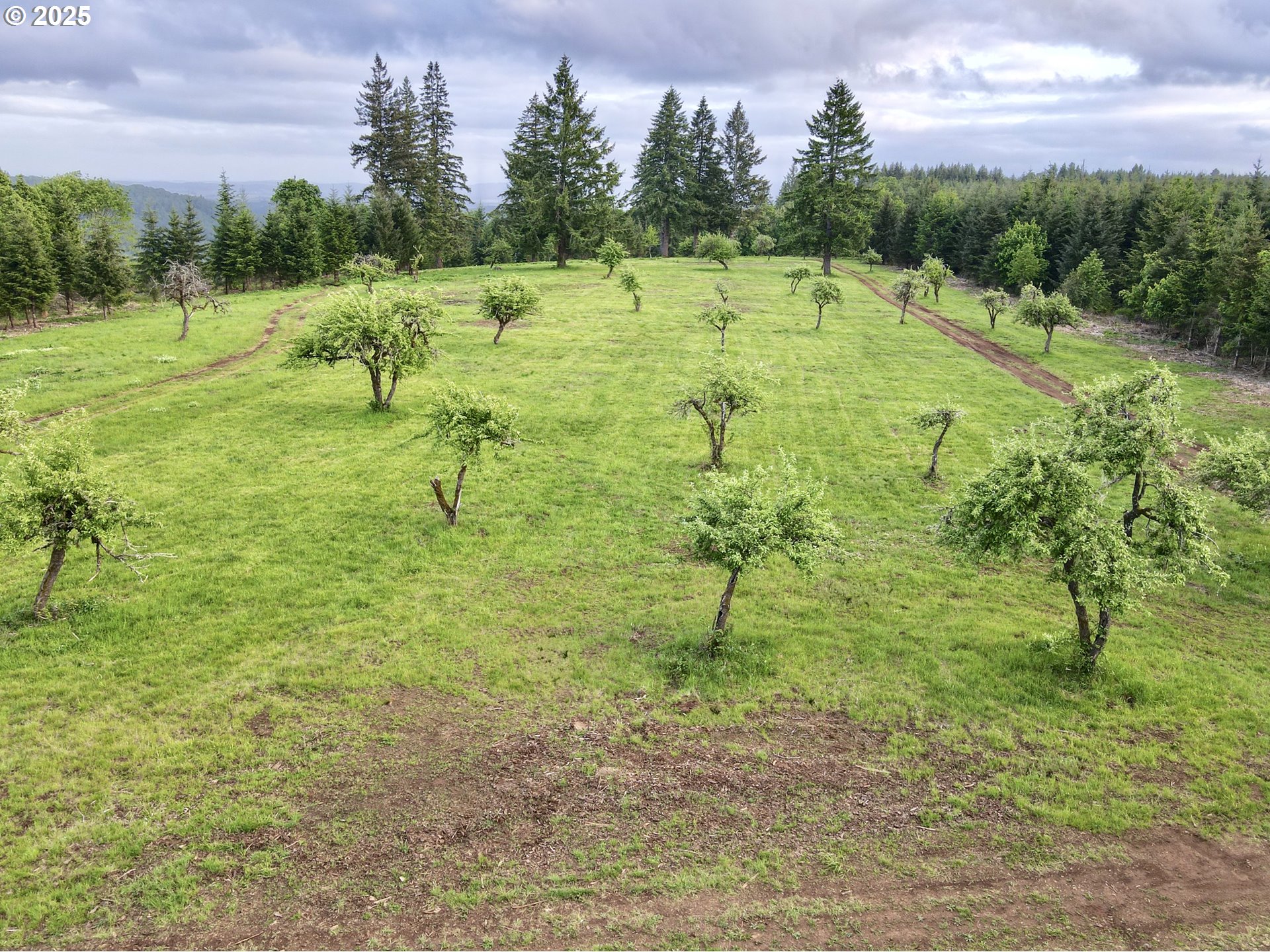 11892 Dupee Valley Road Sheridan, OR 97378 - Photo 2 of 48 a view of a park