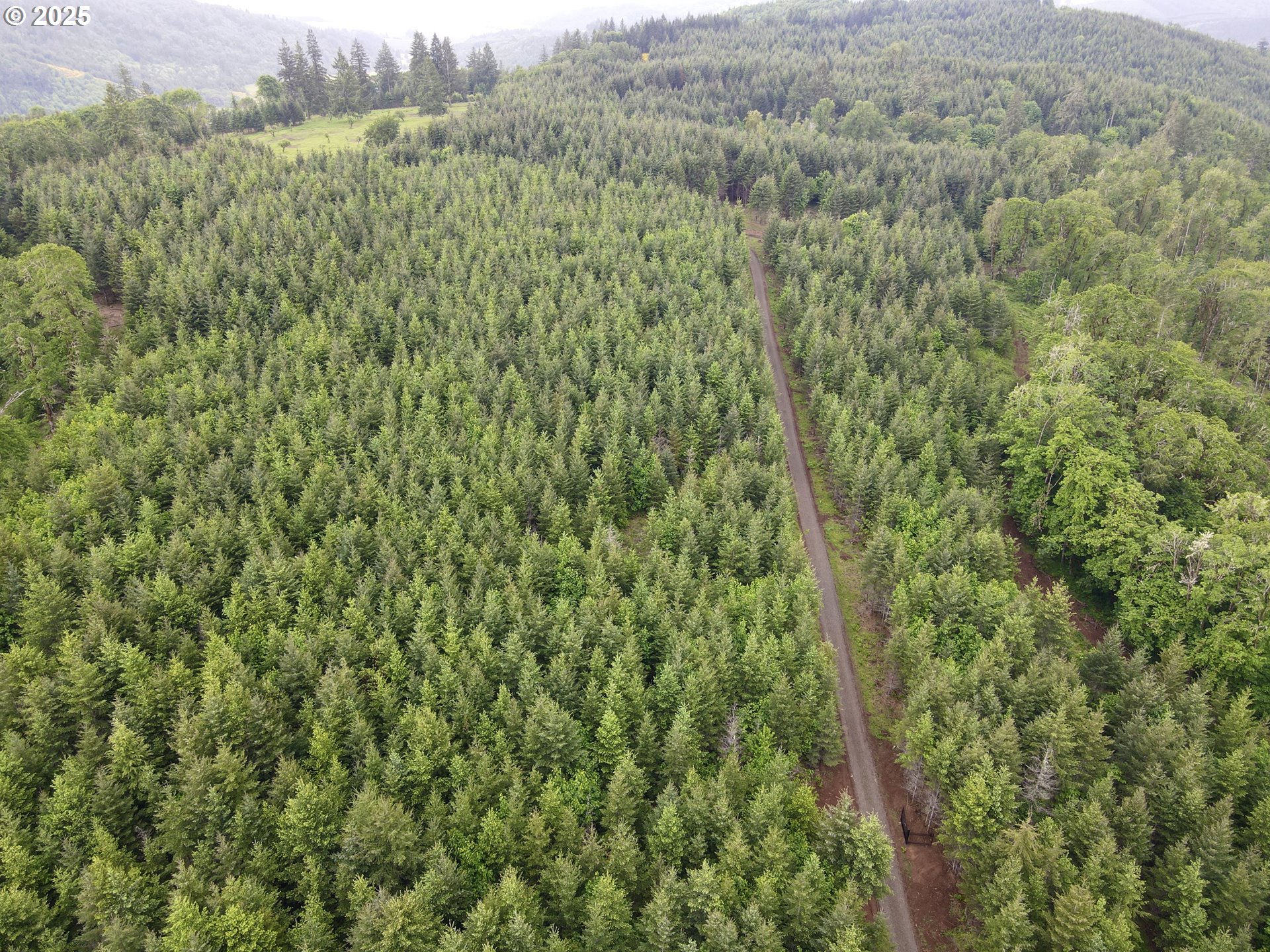11892 Dupee Valley Road Sheridan, OR 97378 - Photo 21 of 48 a view of a lush green forest with trees and houses