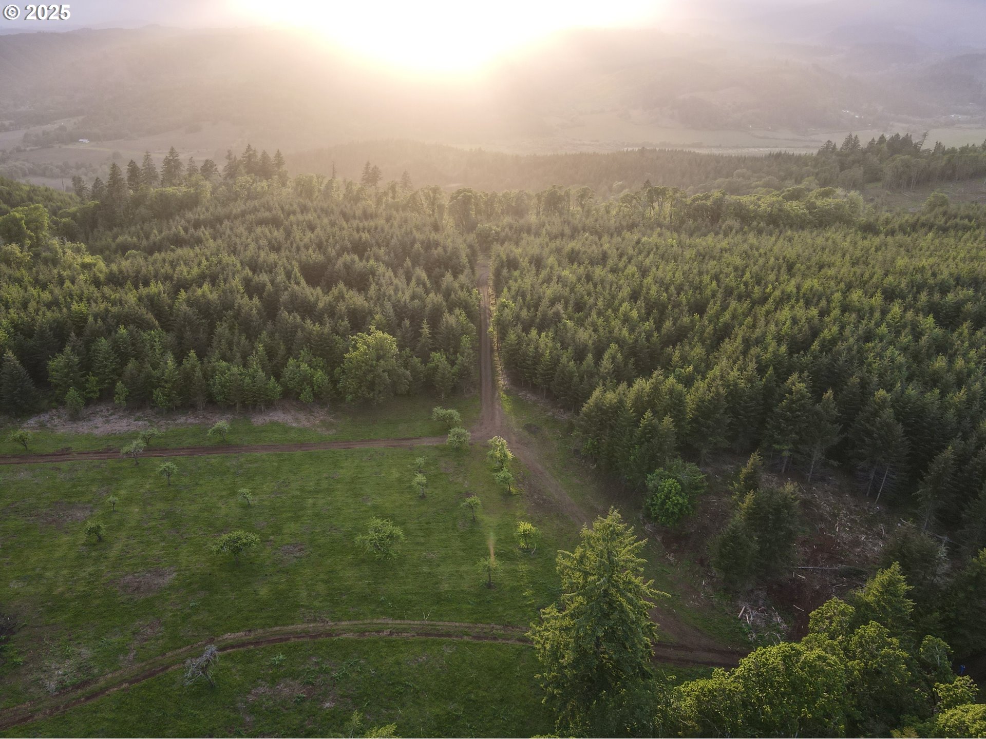 11892 Dupee Valley Road Sheridan, OR 97378 - Photo 22 of 48 a view of a lake from a yard