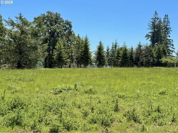 a view of a lake and green valley