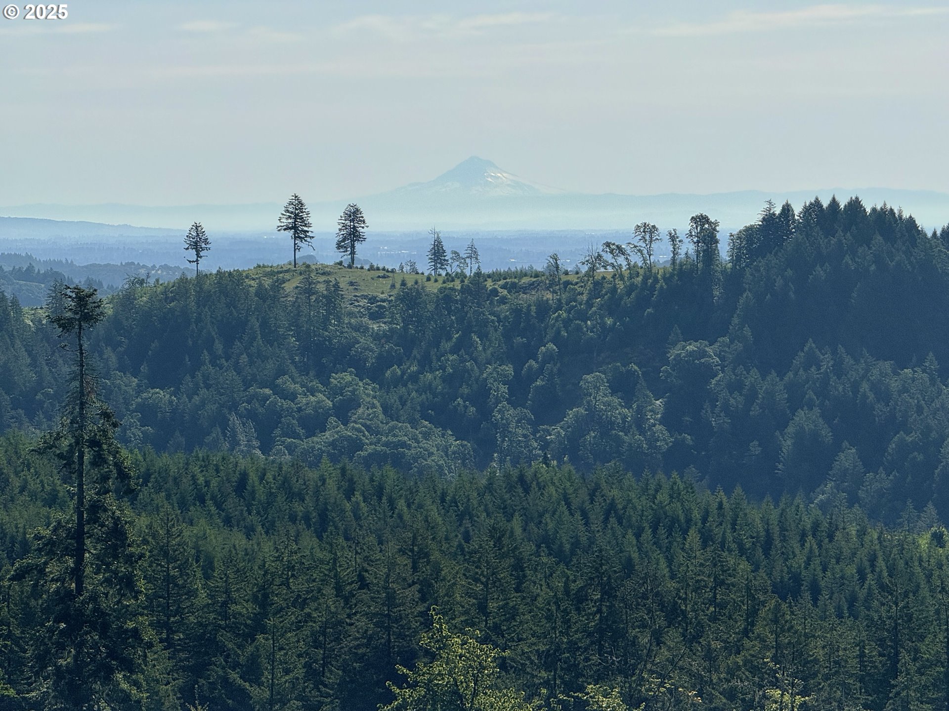 11892 Dupee Valley Road Sheridan, OR 97378 - Photo 31 of 48 a view of a city