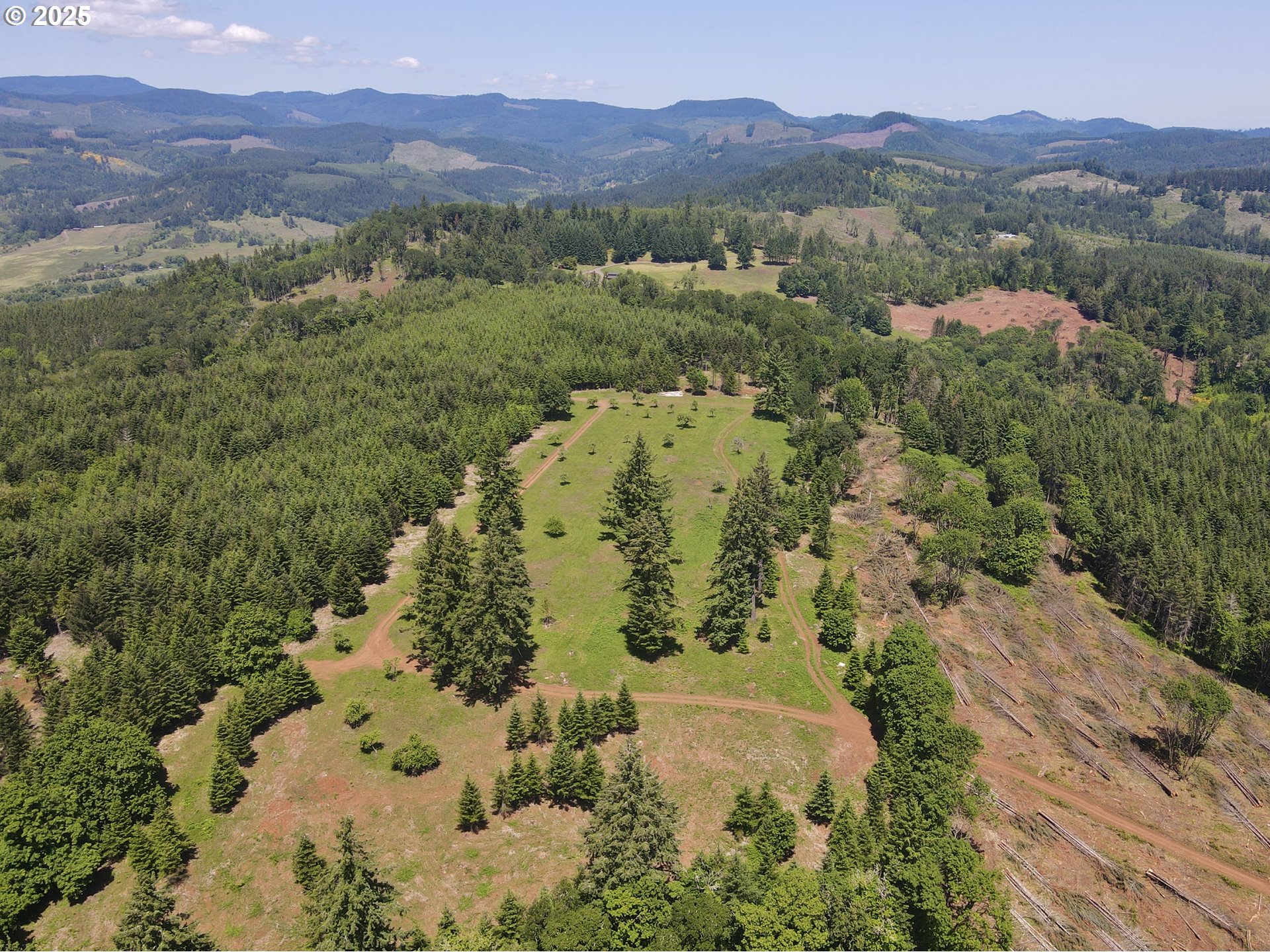 11892 Dupee Valley Road Sheridan, OR 97378 - Photo 34 of 48 a view of a forest with a mountain