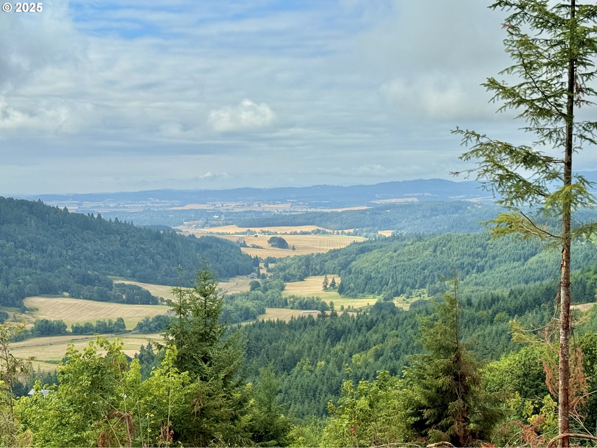 11892 Dupee Valley Road Sheridan, OR 97378 - Photo 39 of 48 a view of a lake with a building in front of it