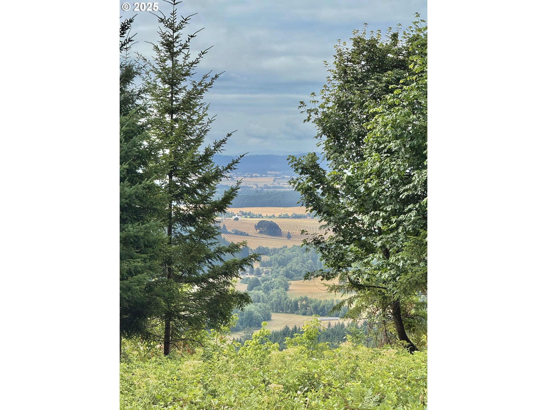 11892 Dupee Valley Road Sheridan, OR 97378 - Photo 40 of 48 a picture of a yard