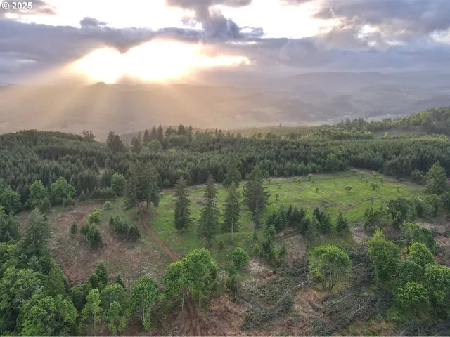 a view of a lake in middle of the forest