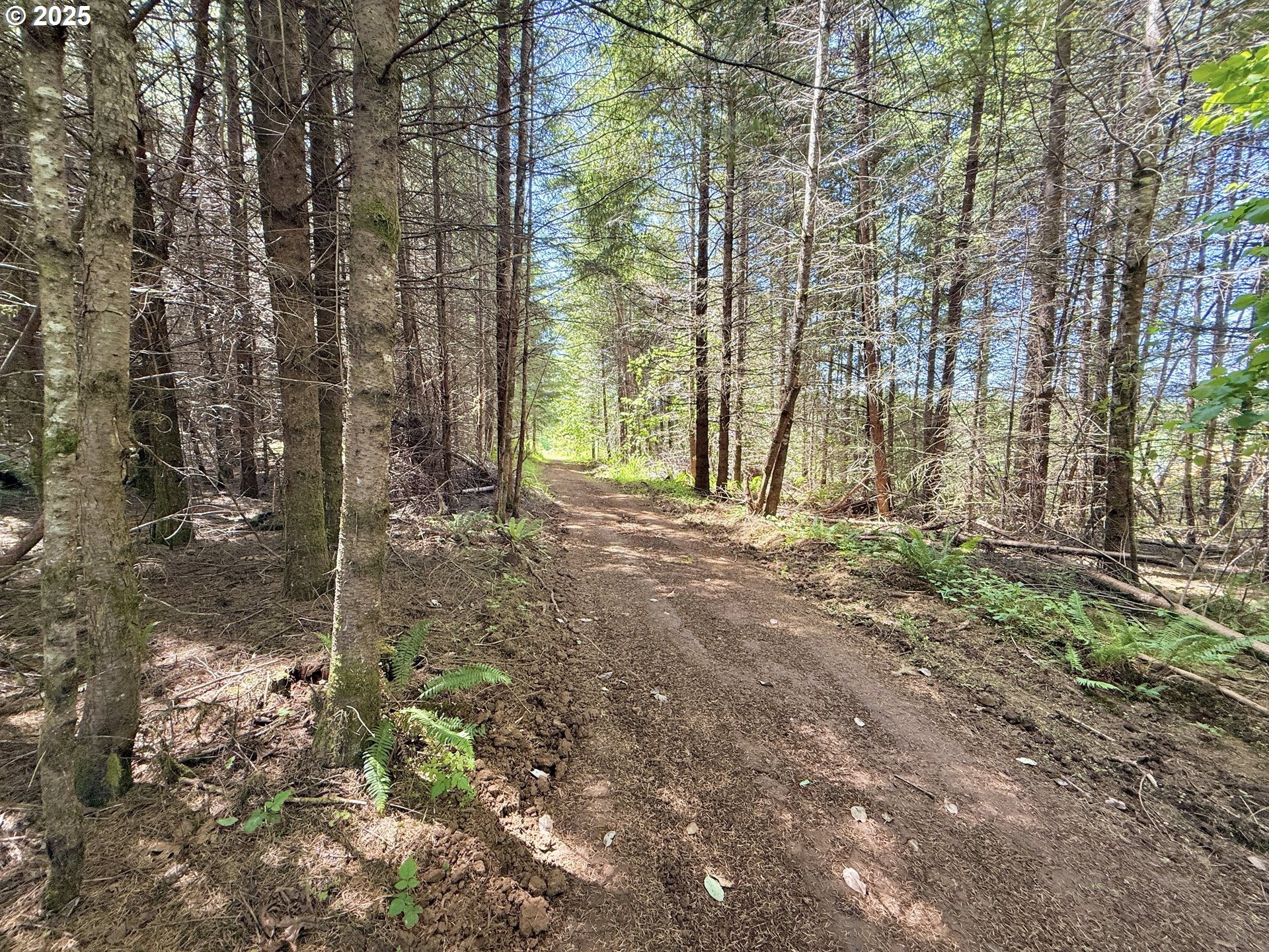 11892 Dupee Valley Road Sheridan, OR 97378 - Photo 42 of 48 a view of backyard with green space