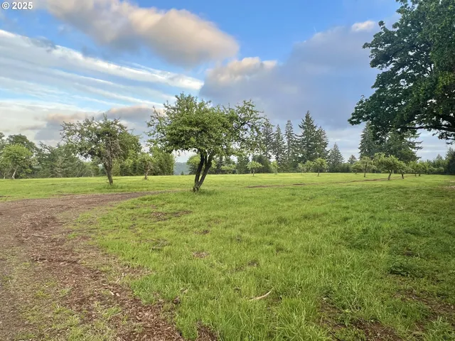 a view of a green field with trees in the background