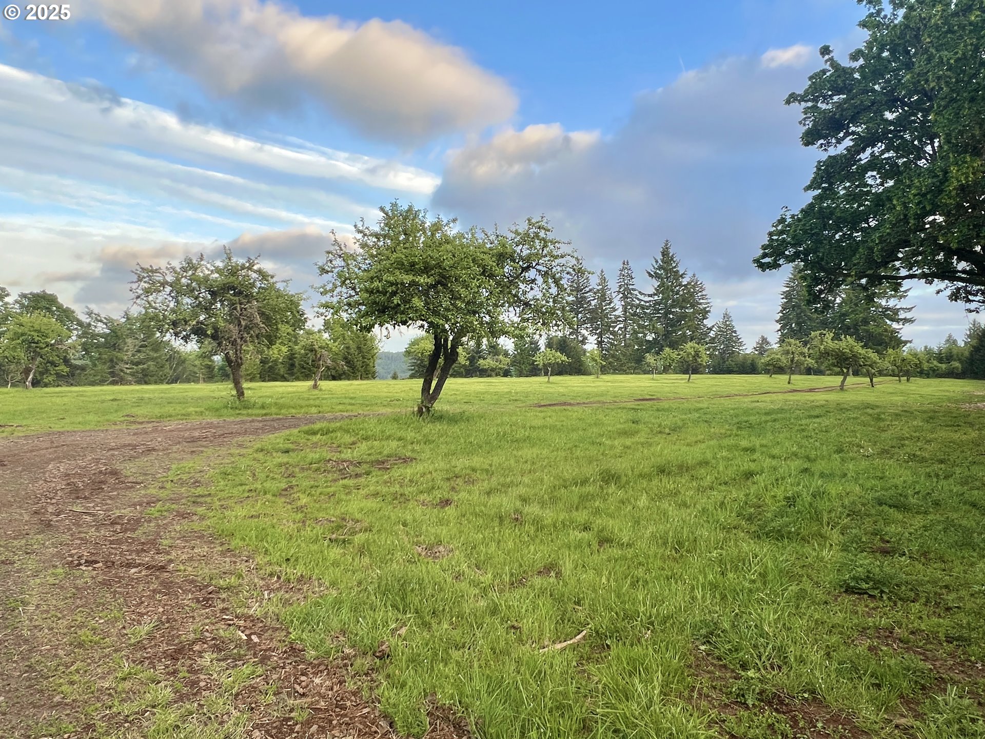 11892 Dupee Valley Road Sheridan, OR 97378 - Photo 6 of 48 a view of a green field with trees in the background