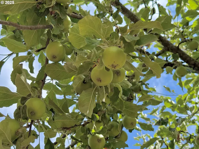 a close up of a flower