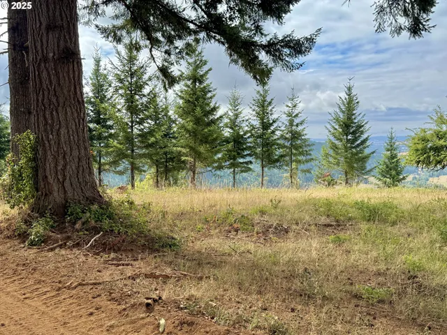 a view of backyard with green space
