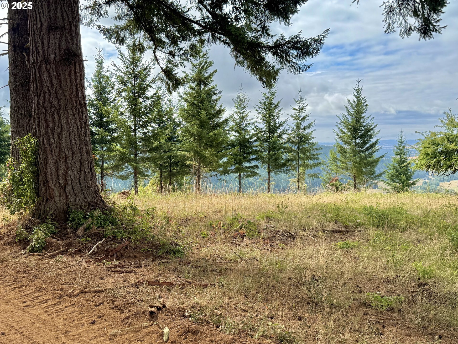 11892 Dupee Valley Road Sheridan, OR 97378 - Photo 9 of 48 a view of backyard with green space