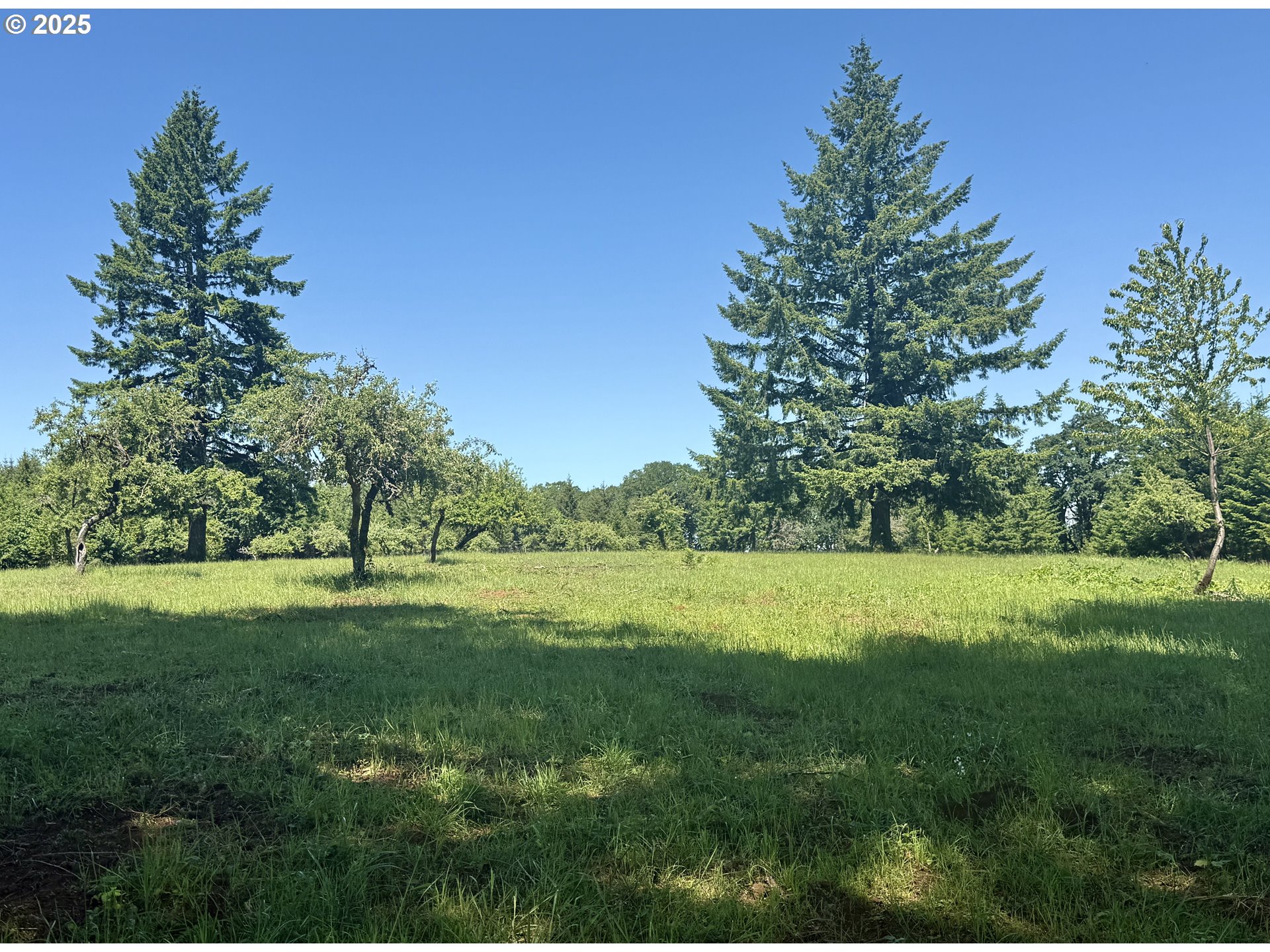11892 Dupee Valley Road Sheridan, OR 97378 - Photo 10 of 48 a view of an outdoor space and yard