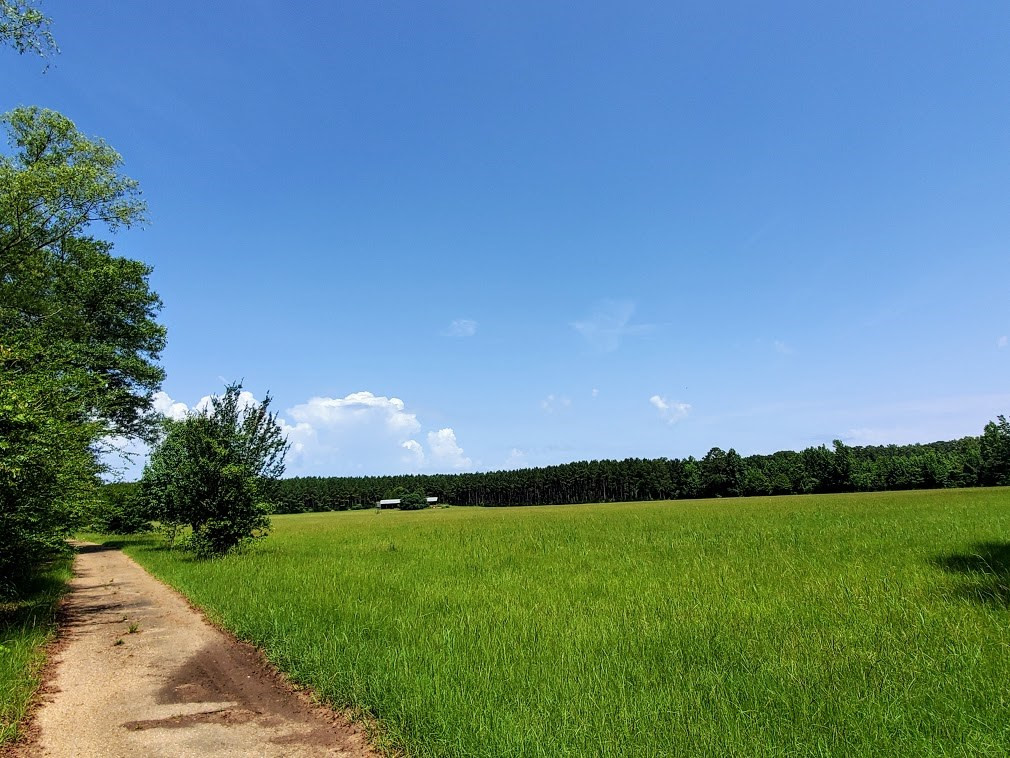 0 Polk-Atwood Road Mount Olive, MS 39119 - Photo 3 of 14 Photo 3