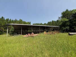 0 Polk-Atwood Road Mount Olive, MS 39119 - Photo 8 of 14 Photo 8